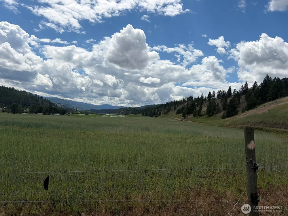 1 TBD Lundimo Meadows Tract 1 Curlew, WA 99118