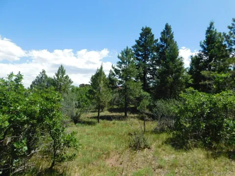 6447 Thunderbird Road