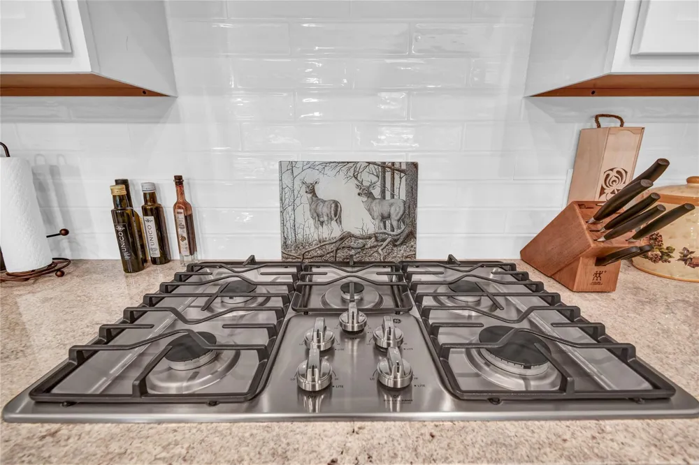 411 S Amherst Drive West Columbia, TX 77486