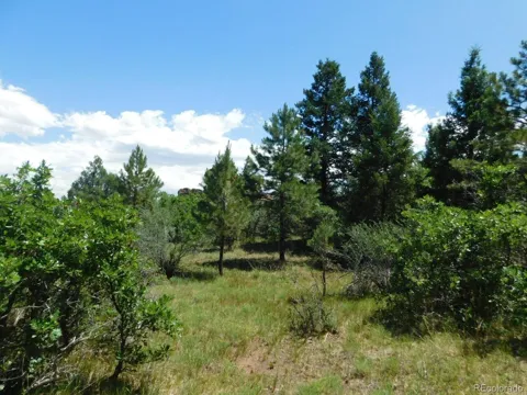 6447 Thunderbird Road