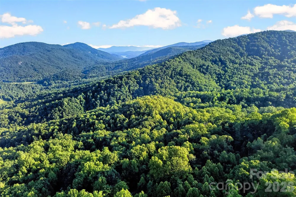 1506 Mckenzie Way S Old Fort, NC 28762