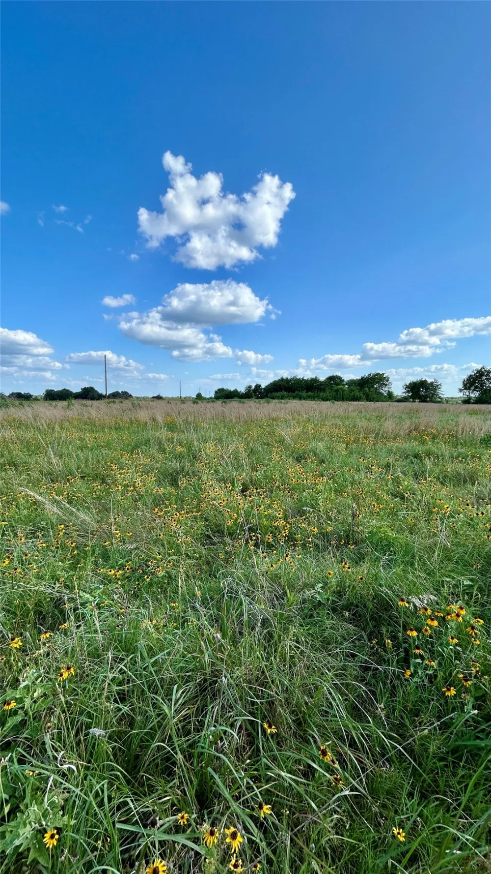RS County Road 1320 Emory, TX 75440