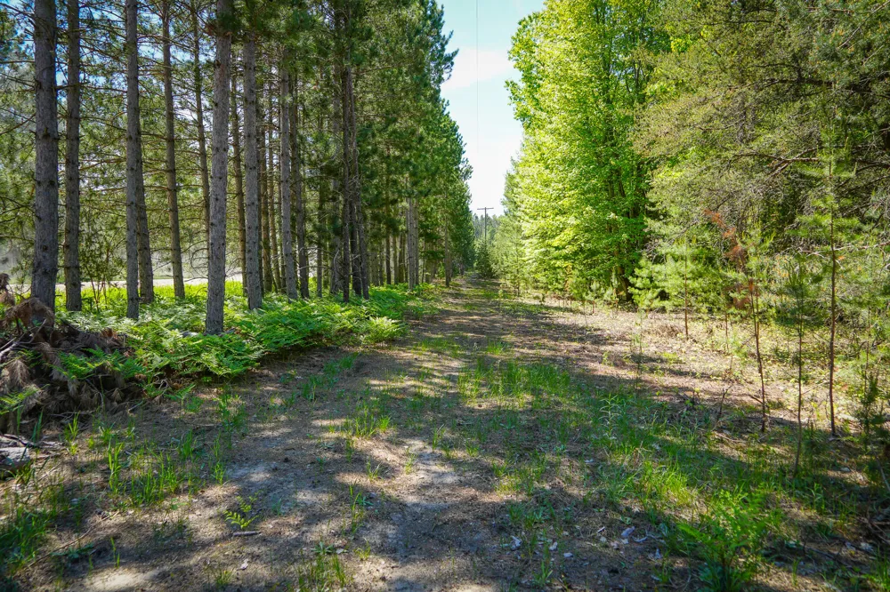 Makinen Road Kaleva, MI 49645