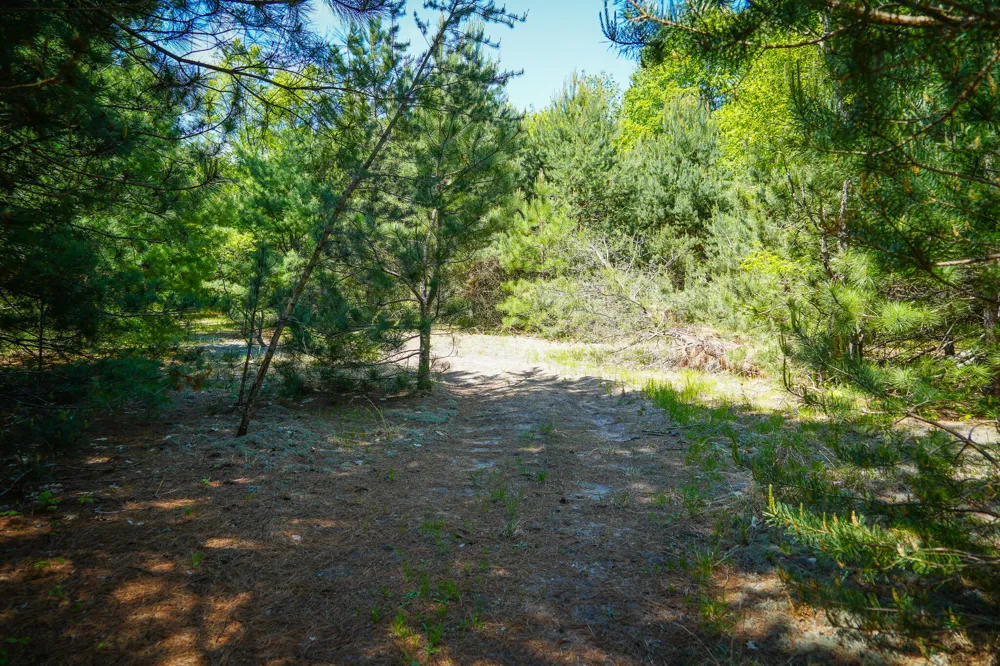 Makinen Road Kaleva, MI 49645