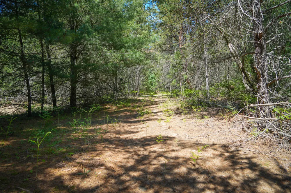 Makinen Road Kaleva, MI 49645