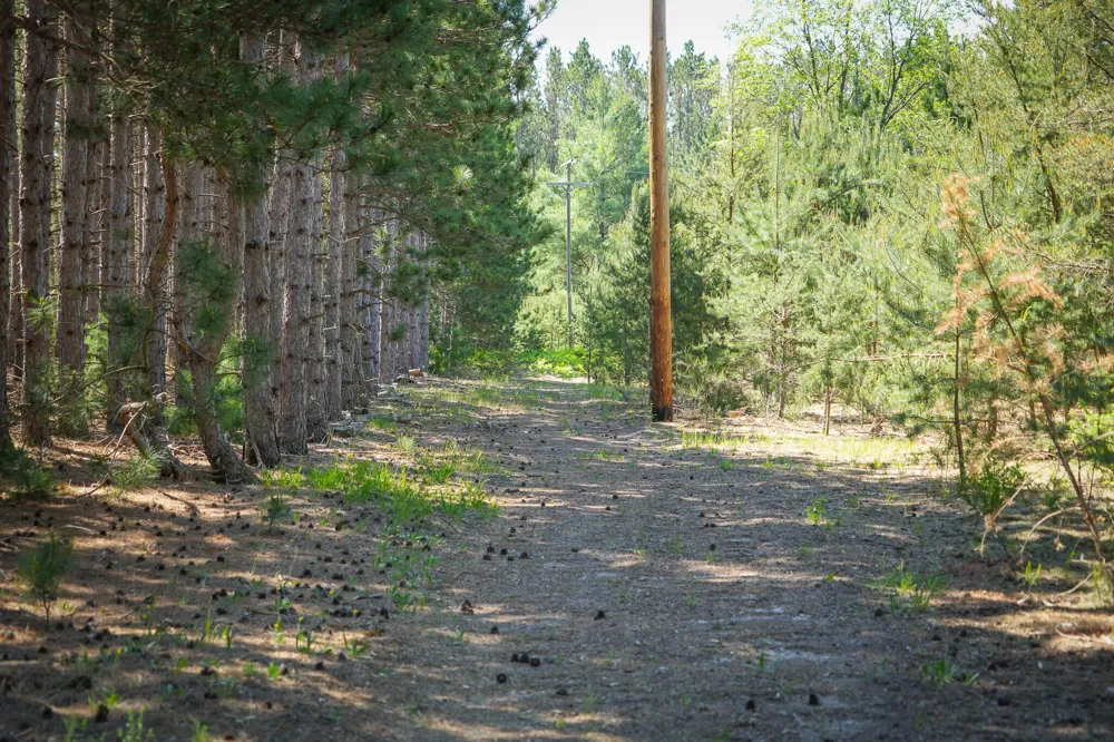 Makinen Road Kaleva, MI 49645