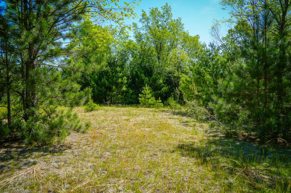 Niemi Road Kaleva, MI 49645