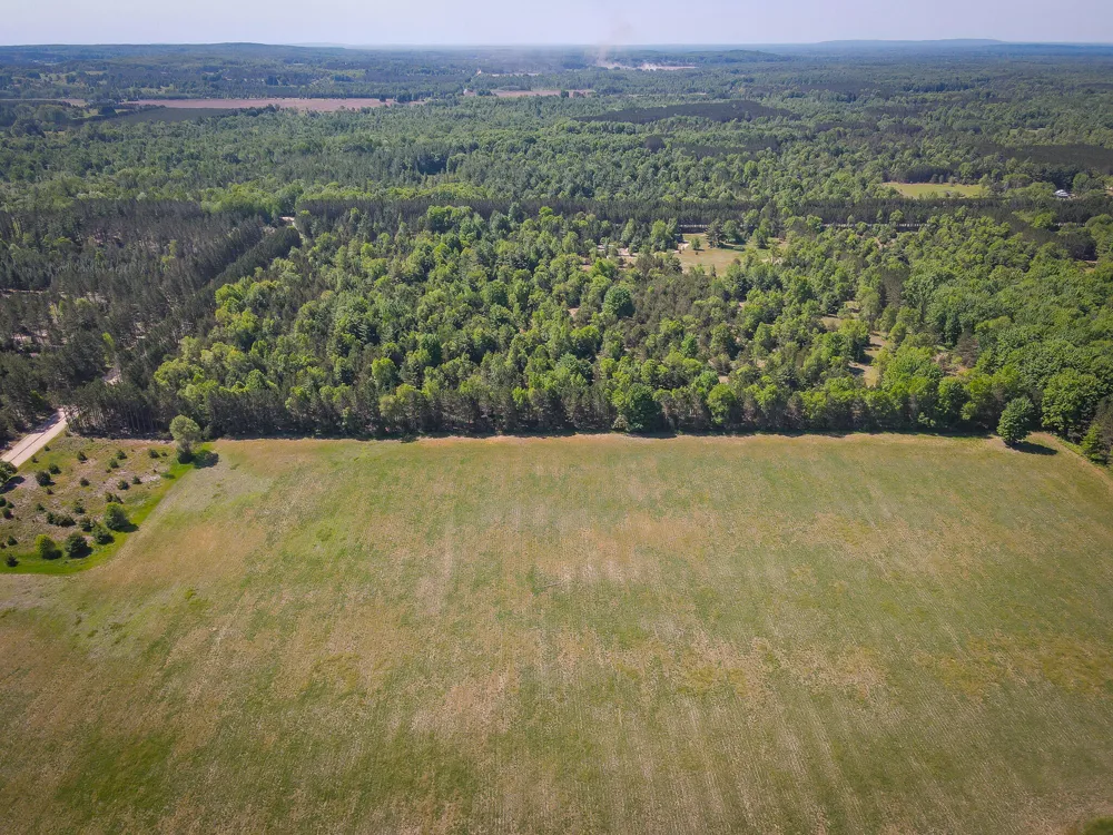 Niemi Road Kaleva, MI 49645