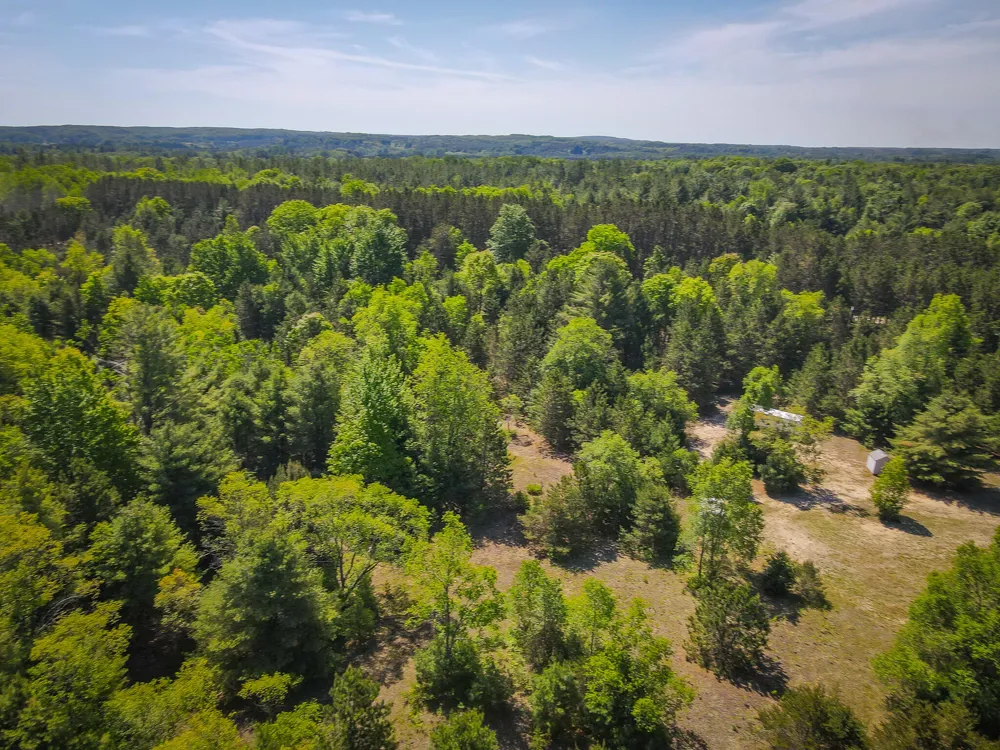 Niemi Road Kaleva, MI 49645