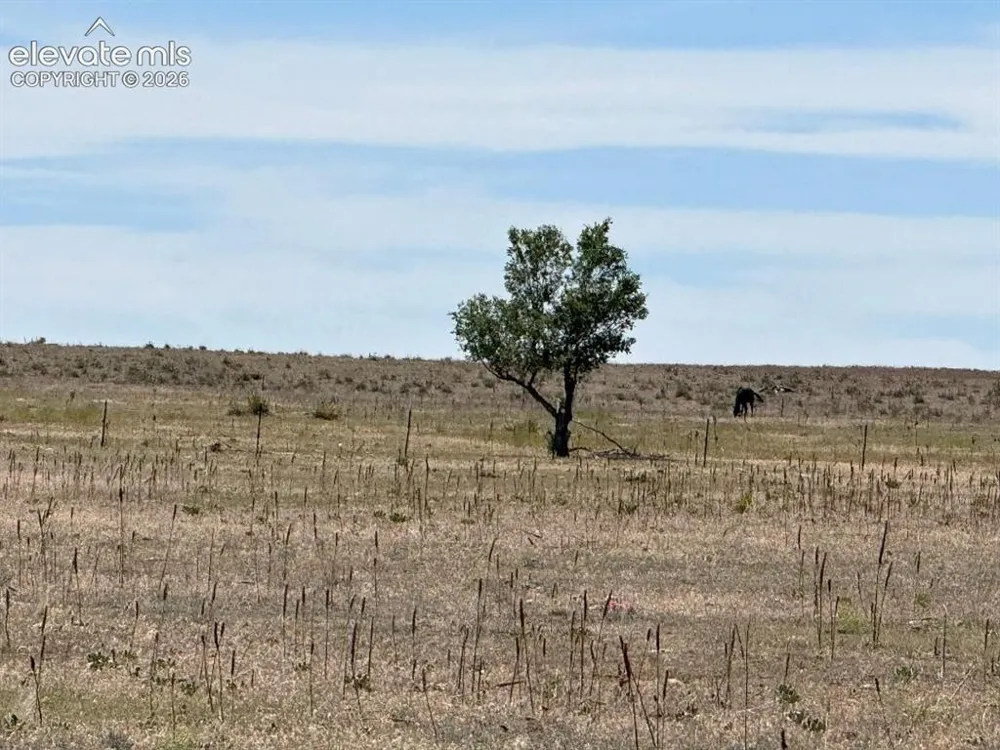 40495 Hoot Owl Road Ramah, CO 80832