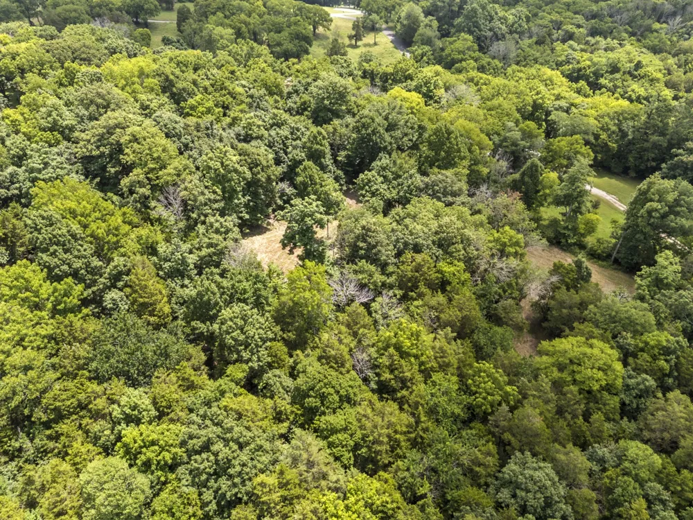 0 Cayce Ln Columbia, TN 38401