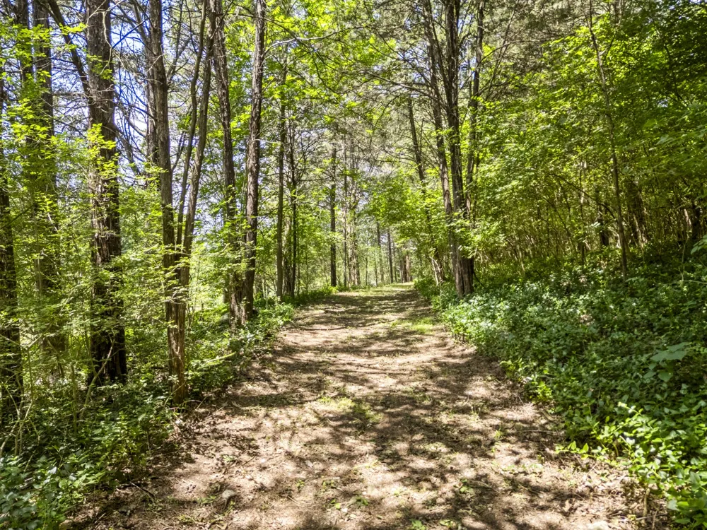 0 Cayce Ln Columbia, TN 38401