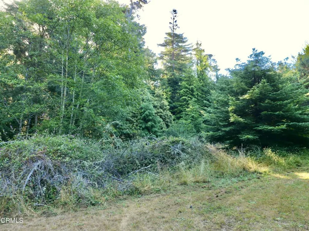 19130 Dorffi Road Fort Bragg, CA 95437