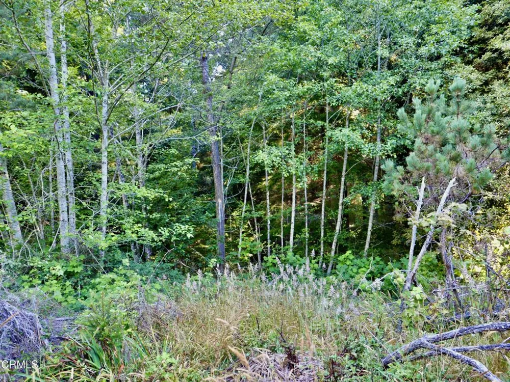 19130 Dorffi Road Fort Bragg, CA 95437