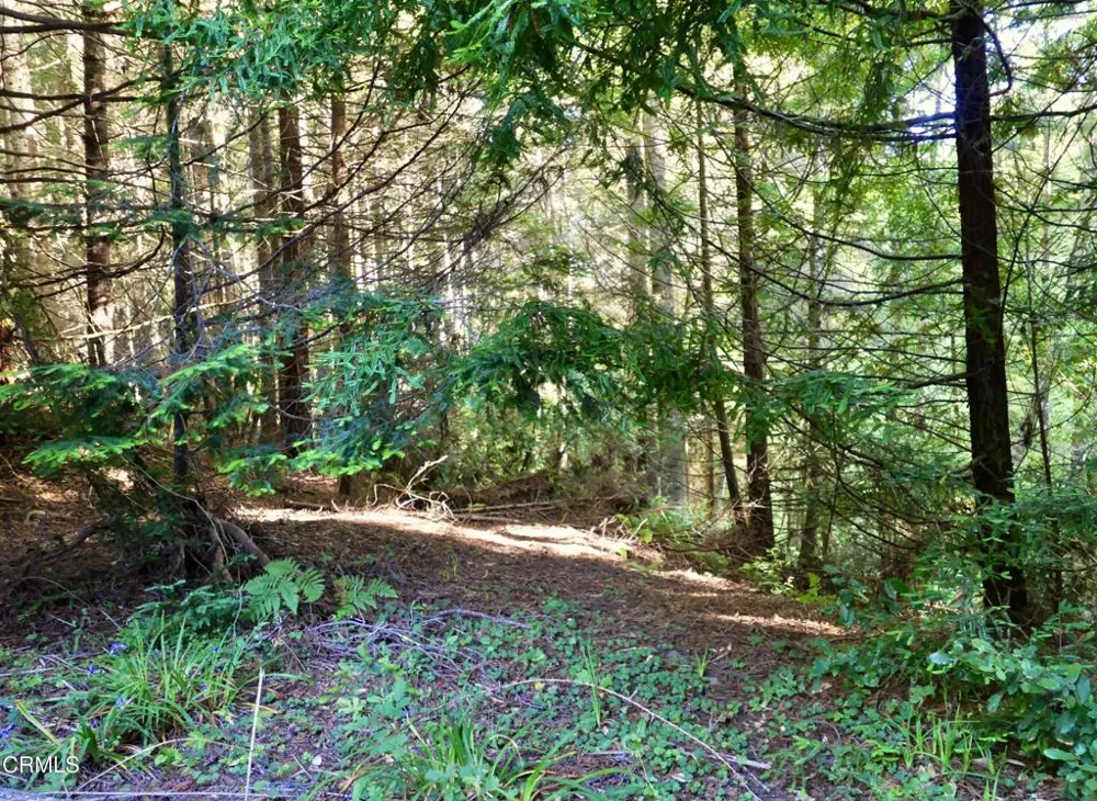 19130 Dorffi Road Fort Bragg, CA 95437