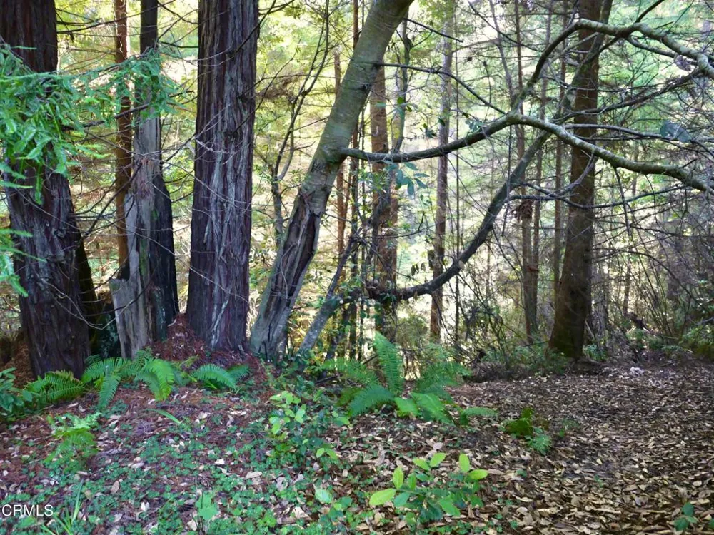 19130 Dorffi Road Fort Bragg, CA 95437