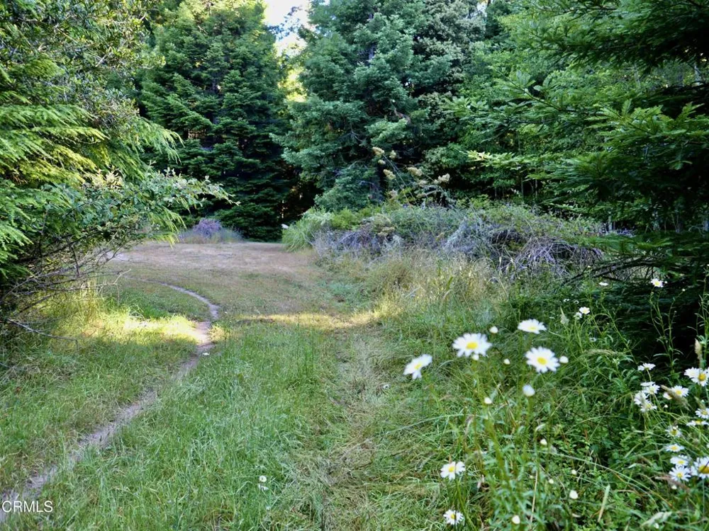 19130 Dorffi Road Fort Bragg, CA 95437