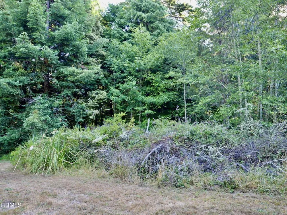 19130 Dorffi Road Fort Bragg, CA 95437