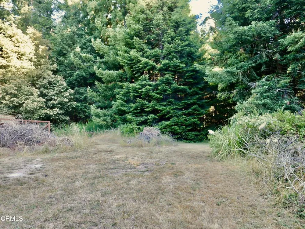 19130 Dorffi Road Fort Bragg, CA 95437