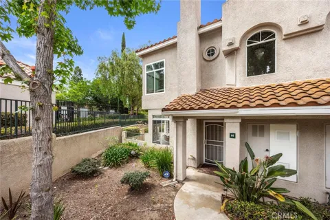 66 Cinnamon Teal