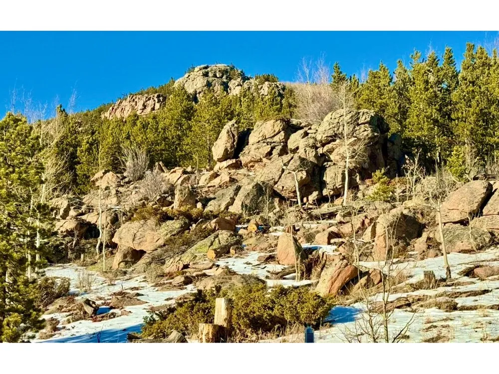 3689 ottawa Way Red Feather Lakes, CO 80545