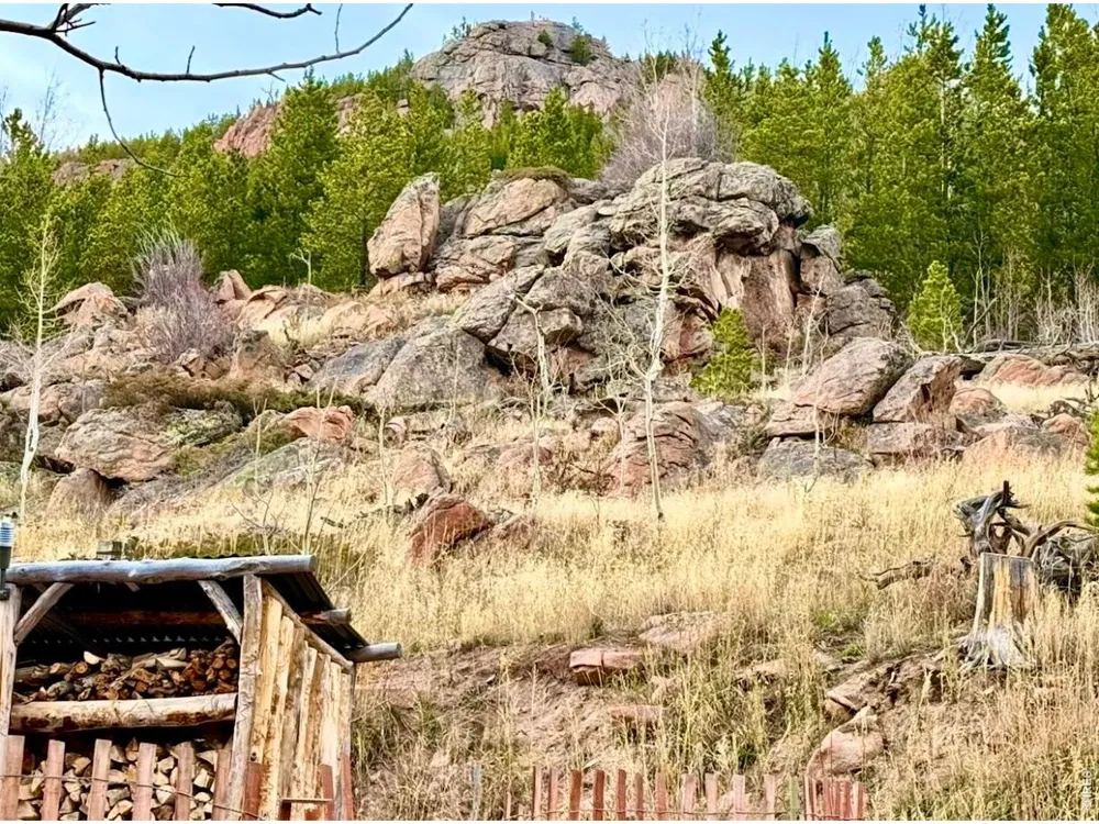 3689 ottawa Way Red Feather Lakes, CO 80545