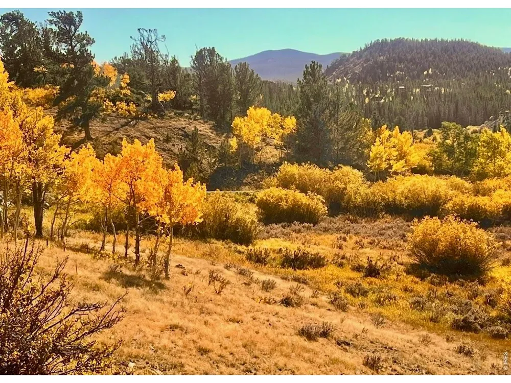 3689 ottawa Way Red Feather Lakes, CO 80545