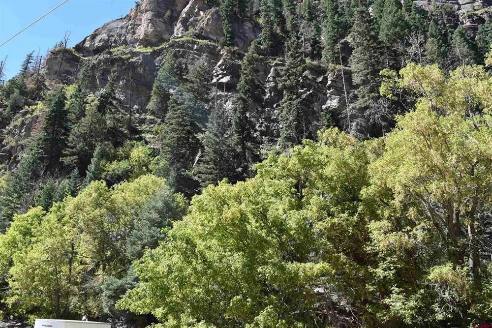 Oak Street Ouray, CO 81427