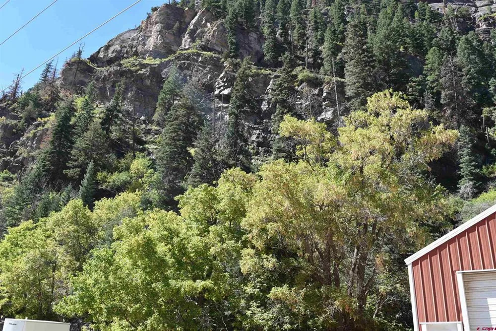 Oak Street Ouray, CO 81427