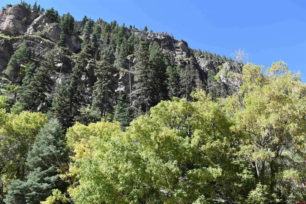 Oak Street Ouray, CO 81427