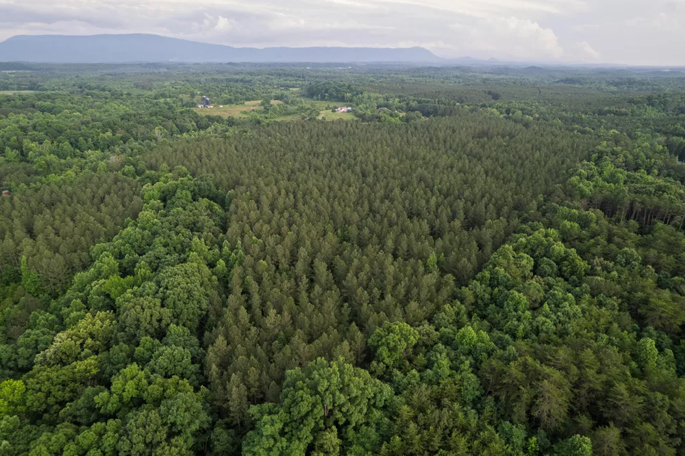 54 County Road 966 Calhoun, TN 37309