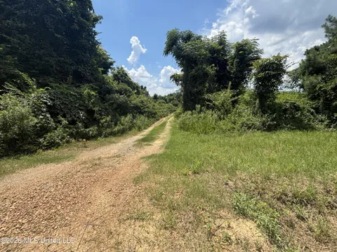 Firetower Road