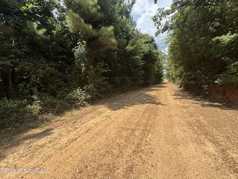 Firetower Road Camden, MS 39045