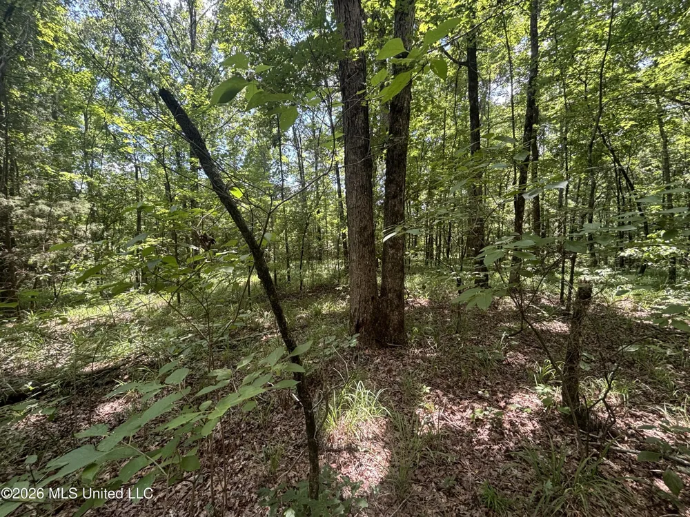 Firetower Road Camden, MS 39045