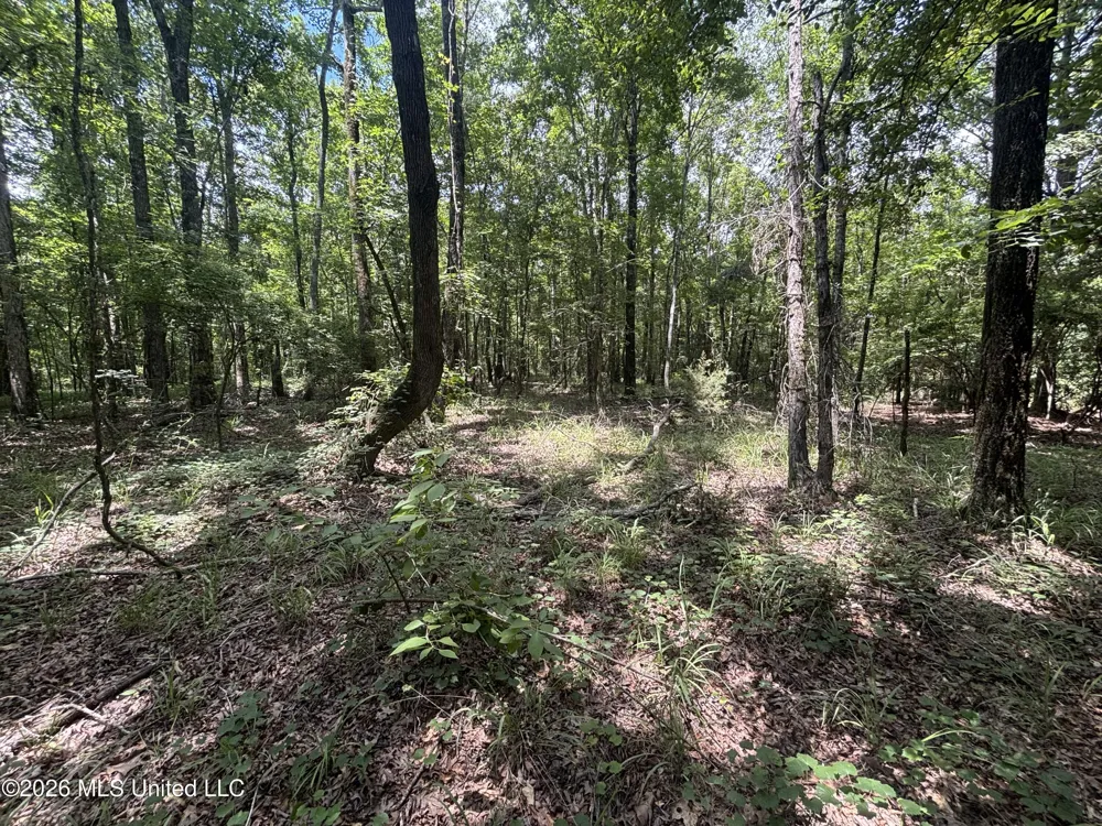 Firetower Road Camden, MS 39045