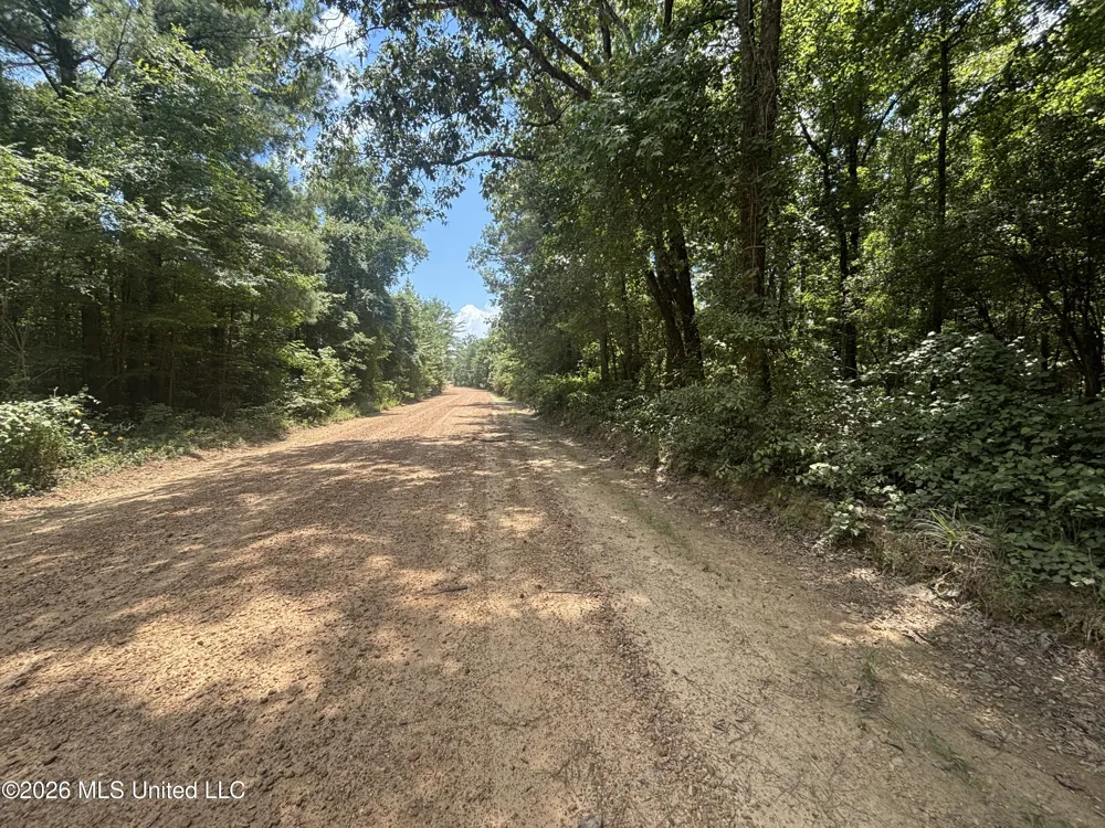 Firetower Road Camden, MS 39045