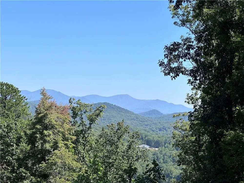 0 Ivy Ridge Clarkesville, GA 30523