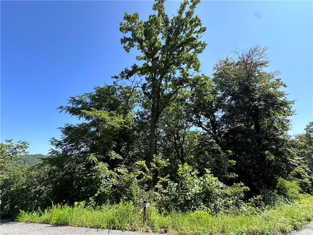 0 Ivy Ridge Clarkesville, GA 30523