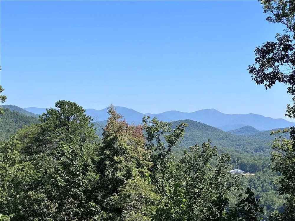 0 Ivy Ridge Clarkesville, GA 30523