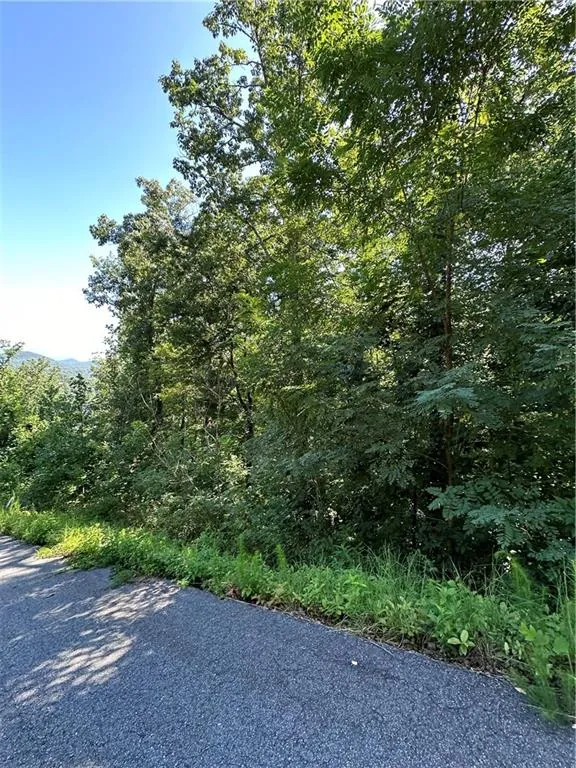0 Ivy Ridge Clarkesville, GA 30523