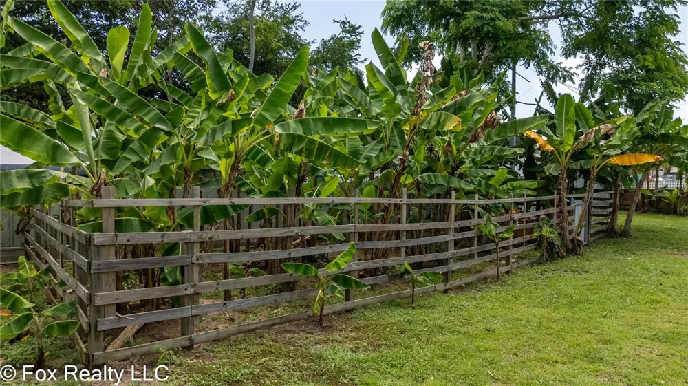 BO ESPINAL Aguada, PR 00602