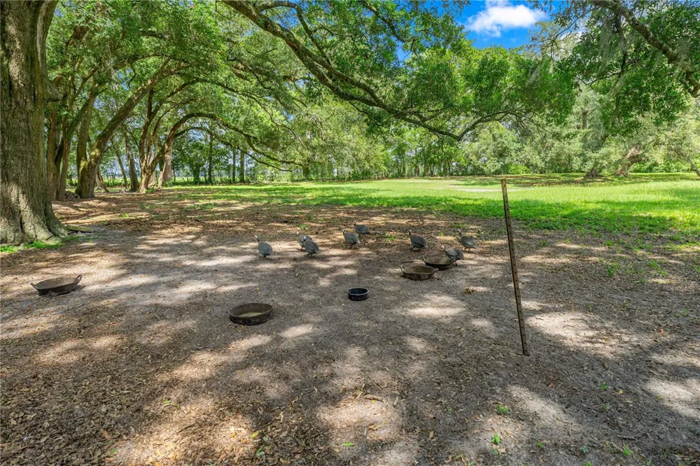 1890 NW 167TH PLACE Trenton, FL 32693