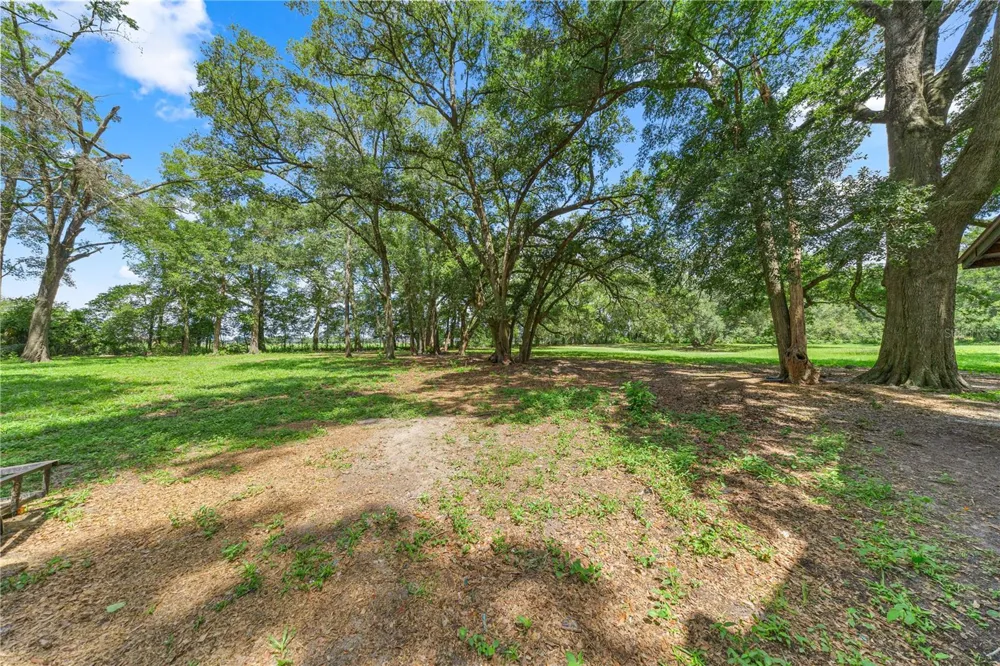 1890 NW 167TH PLACE Trenton, FL 32693