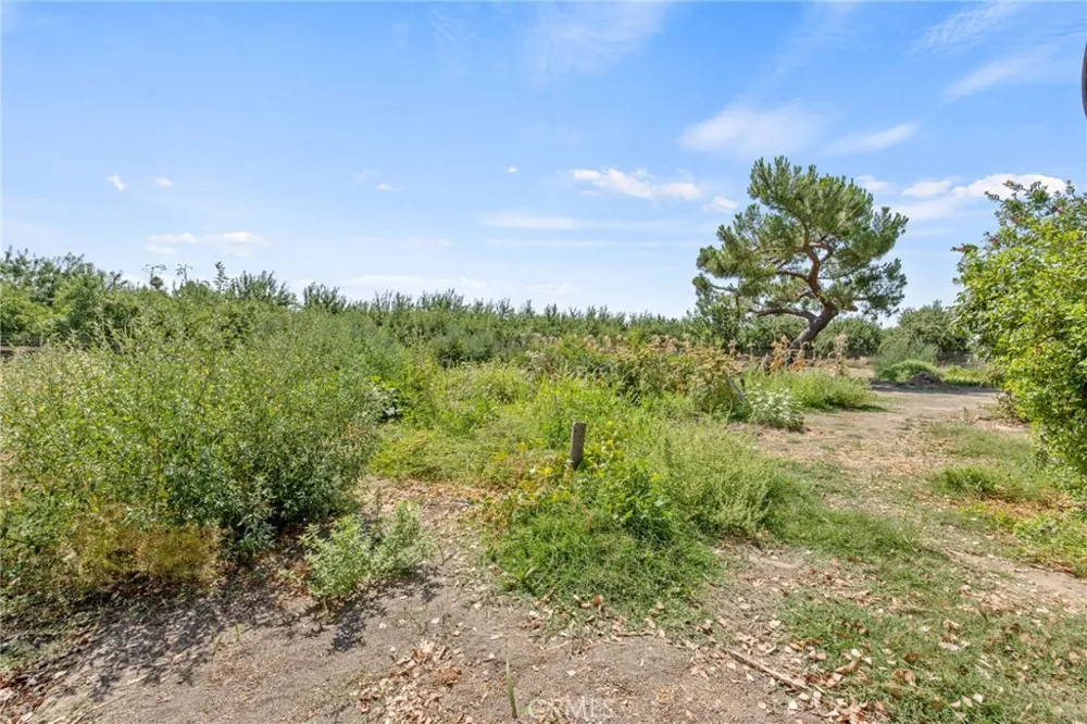 16565 Lacey Boulevard Lemoore, CA 93245