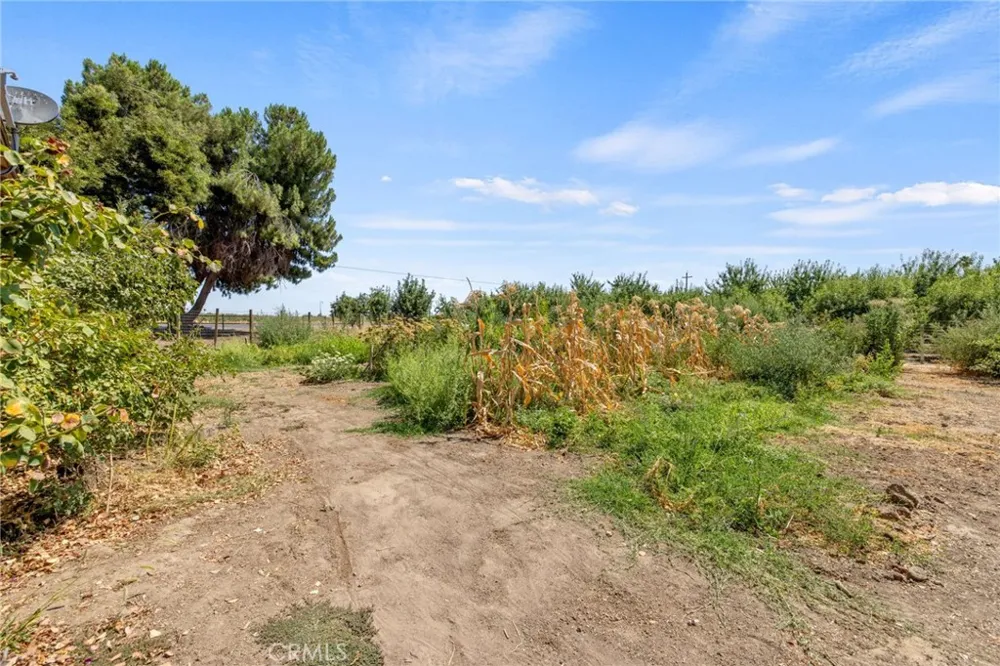 16565 Lacey Boulevard Lemoore, CA 93245