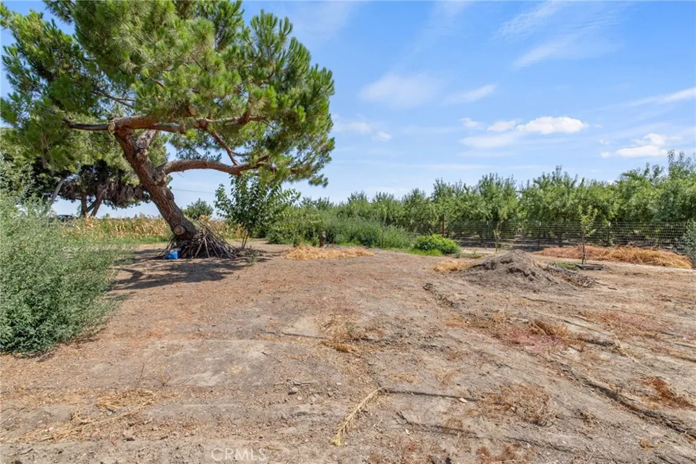 16565 Lacey Boulevard Lemoore, CA 93245