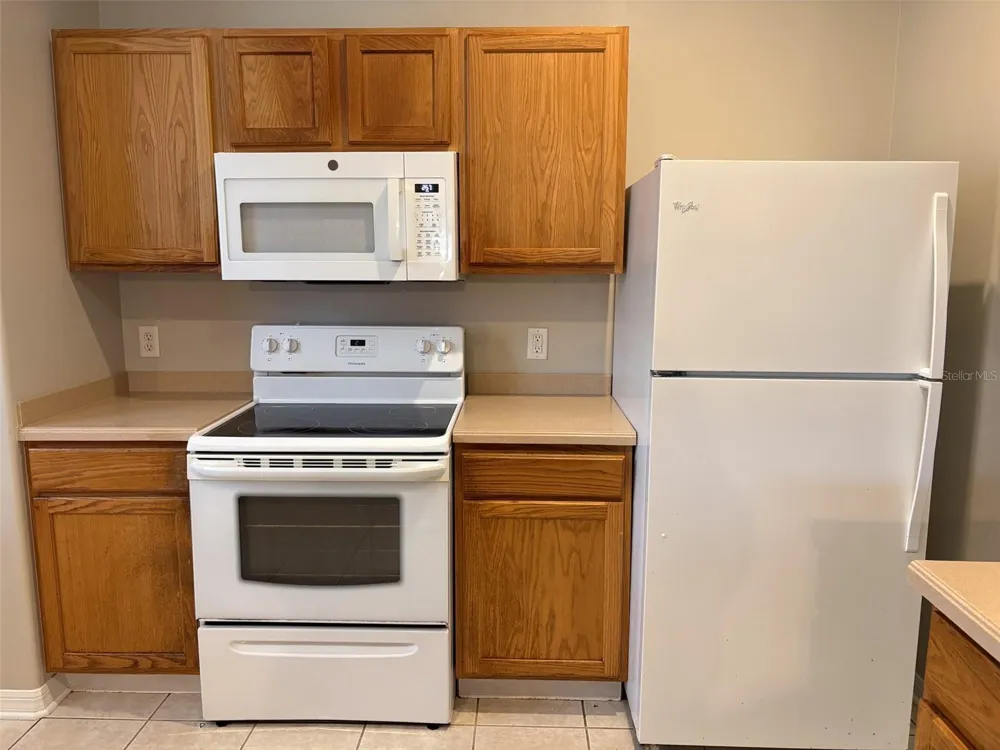 3922 WASHBURN PLACE Wesley Chapel, FL 33543