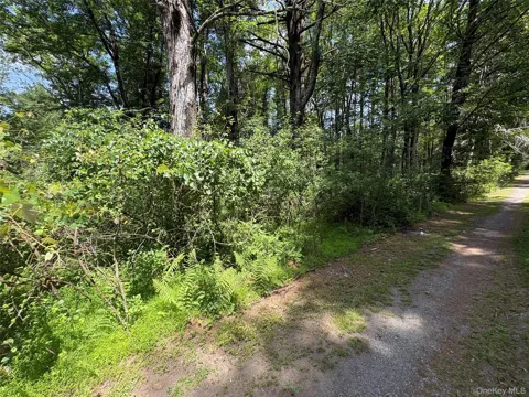 Belair Road