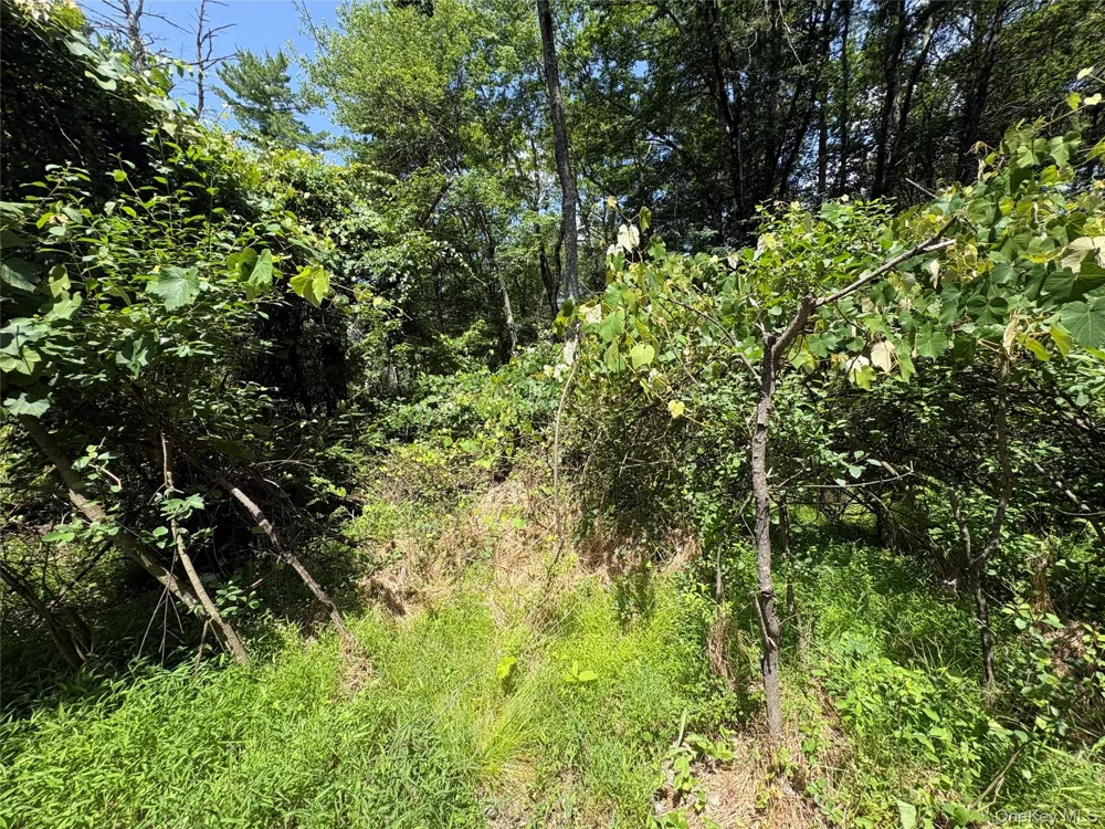 Belair Road Glen Spey, NY 12737