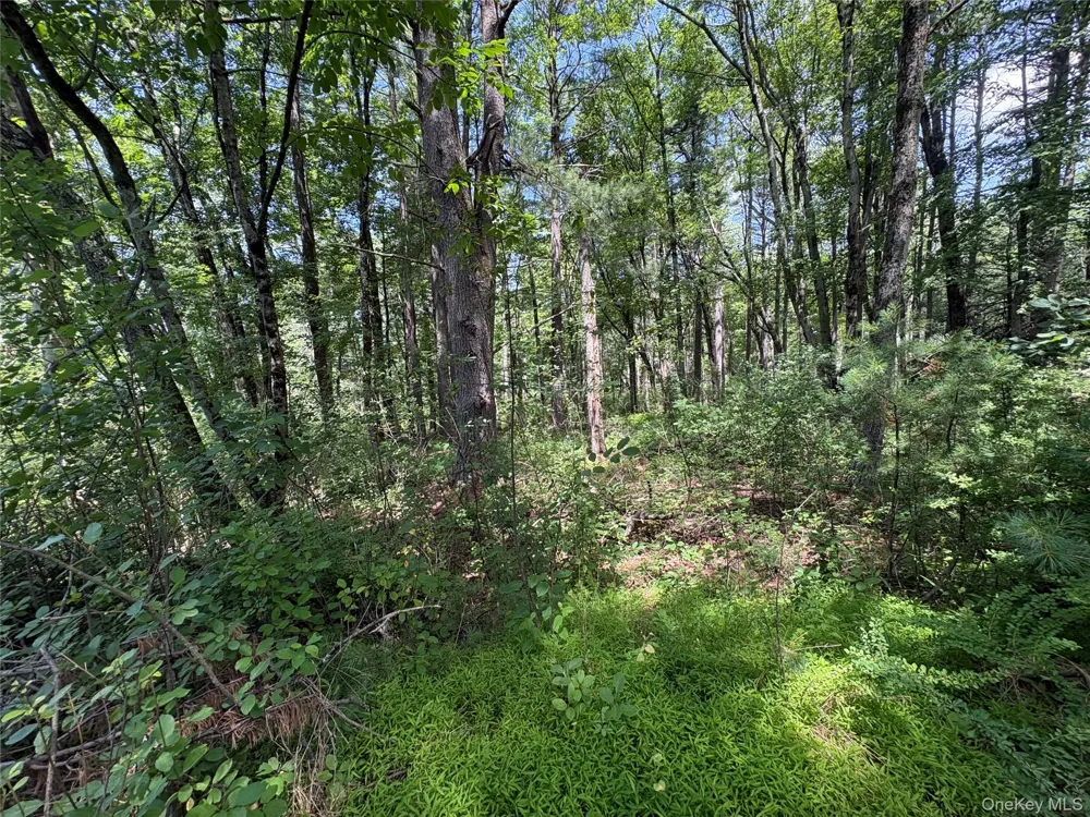 Belair Road Glen Spey, NY 12737